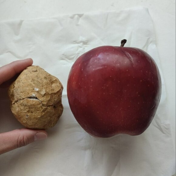 Natural Crack-open Geode - Picture 8 of 8